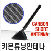 오토몰 티볼리.스포티지R.올뉴모닝 리얼 카본 튜닝안테나