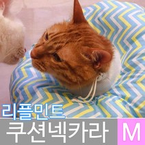 모모기프트 리플민트 쿠션넥카라 M(중), 1개