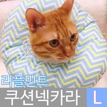 모모기프트 리플민트 쿠션넥카라 L(대), 1개