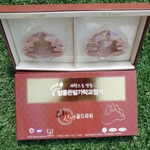 참좋은발가락교정기 골드파워 -소( 발 255이하), 1set