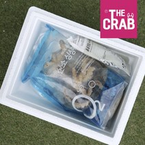 제철 여수 통영 활 돌문어 생물 문어, 1개, 700g (산소포장/1-3마리)