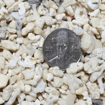 산호사 5~10mm (약3.5kg), 단품