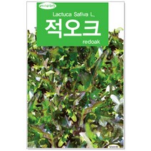 베이비 적오크씨앗 3000립 베이비채소씨앗, 1개