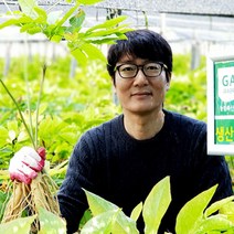 한국인삼유통공사 고려인삼 600g 인삼한뿌리 2000원꼴 (20% 추가증정 이벤트) 수삼 금산풍기인삼센타, 1개, 세척한수삼 600g