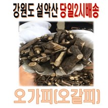 오가피 자연산 오갈피 200g 국산100%, 1개