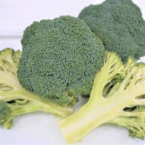 파릇파릇 브로콜리 2kg, 1개