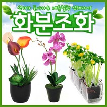 호가 화분조화 호접란 장미 인테리어 조화 화분 장식, 토피어리 화분조화-A형타입3(+1000원)
