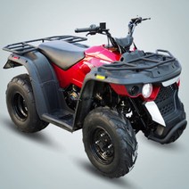 MARSHIC CFMOTORS LH-M150CC 4X2 오토 ATV 사륜바이크