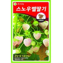 갑조네 열매 채소류 씨앗 모음, 스노우벨딸기(씨앗), 1개