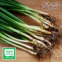 하늘농부 친환경 쪽파 200g, 1봉