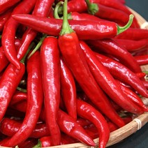 산정마을 국내산 홍고추(특품) 1kg, 1개