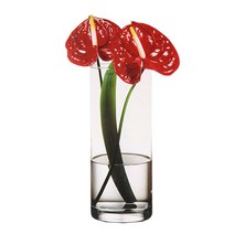 원통형 유리화병 화병 꽃병 유리꽃병 수경재배 장식, 지름15높이40