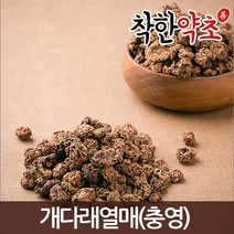 개다래열매(충영) 300g/약초/한방재료, 1개