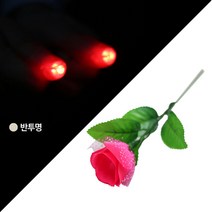 라이트 매직 세트-대(Light Magic set-L)