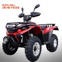 솔바이크 최고의 ATV300cc 뉴아르곤 2륜 4륜구동겸용 산악오토바이, 레드