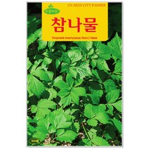 청농종묘 더덕 씨앗 1500립 더덕씨앗 더덕씨 산나물 씨, 23_참나물(900립)