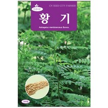 청농종묘 여주 씨앗 10립 여주씨 여주씨앗 씨 식물여주, 24_황기(300립)