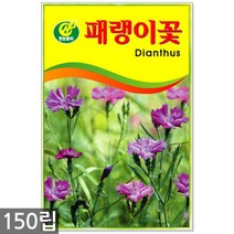 분꽃 1g - 분꽃씨앗 분꽃씨 꽃씨 꽃씨앗 씨앗 씨 야생화씨앗 분화, 21_청농_패랭이꽃(150립)
