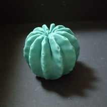 수제몰드 선인장몰드[모음](선택), 6번