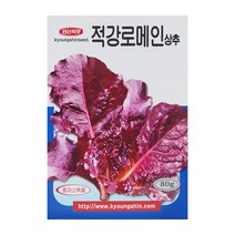 경신종묘 상추씨앗 적강로메인상추 80g