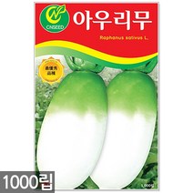 청농종묘 노랑 초당옥수수 씨앗 100립 초당옥수수씨앗 노랑옥수수씨앗 옥수수씨앗 옥수수씨, 06_아우리무(1000립)