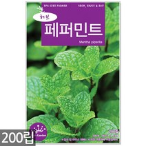 루 씨앗 150립 / 허브씨앗 루씨앗 허브씨 허브 루씨 화초씨앗, 16_허브_페퍼민트(200립)