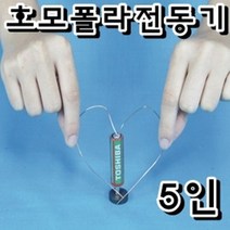 호모폴라전동기 만들기(5인용)