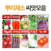 화분월드 뿌리채소 씨앗, 가을무