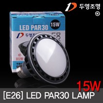 LED PAR30 15W(확산형) E26 (2색상) KS 삼파장 대체용 엘이디램프 /두영, 주광색(하얀빛), 1
