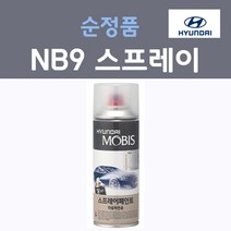 순정품 현대 NB9 스프레이 붓펜 카페인트, 1개, 200ml