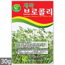 귀리 새싹 씨앗 50g / 새싹씨앗 귀리씨앗 귀리새싹씨앗 새싹귀리 귀리씨 캣그라스 캣글라스 고양이풀, 13_새싹씨앗_브로콜리(30g)
