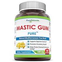 Pure Naturals 퓨어네이쳐스 미국직배송 지중해 매스틱 검 500mg 60캡슐 정품 GMP인증제품, 1병