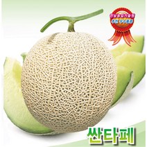 멜론씨앗종자 싼타페 (100립), 1개