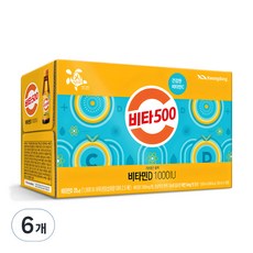 비타500가격