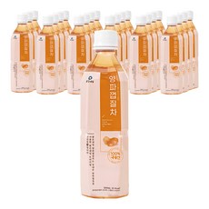 맑은내일 양파껍질차, 500ml, 24개 24개, 500ml