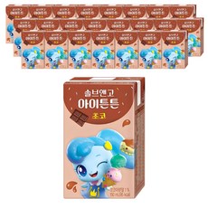 솔브앤고 아이튼튼 초코