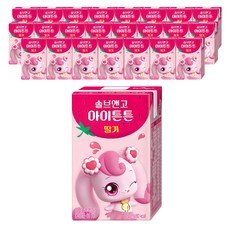 솔브앤고 아이튼튼 딸기