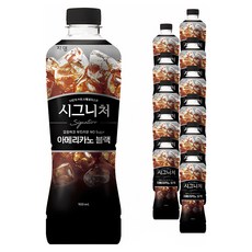 시그니처 쟈뎅 아메리카노 블랙, 900ml, 12개