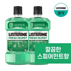 리스테린 후레쉬 버스트 구강청결제, 750ml, 2개
