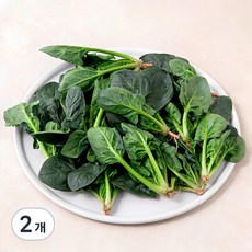 국내산 베이비 시금치, 100g, 2개
