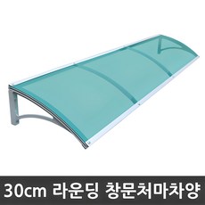 비오니 돌출30cm...