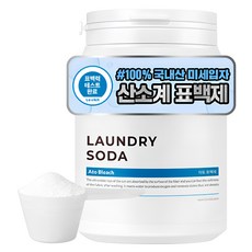 라비킷 아토 분말표백제 + 계량스푼, 1kg, 1개