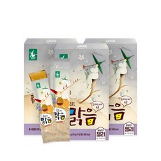 로지오가닉 목소리도맑음 스틱형 젤리, 혼합맛(배/도라지), 100g, 3개