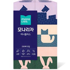 모나리자 미니플러스 천연펄프 미용티슈 2겹, 250매입, 12개