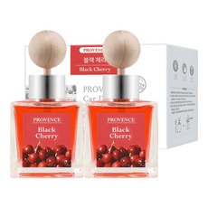 더허브샵 프로방스 카 디퓨저 50ml 본품, 블랙체리, 2개 블랙체리, 2개입