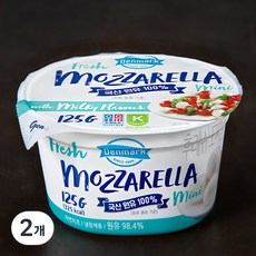 덴마크 후레쉬모짜 미니, 125g, 2개 125g, 2개