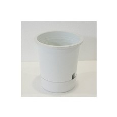 182d5e13-f640-75ba-a423-3f1d9d43a9d6.jpg