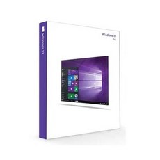 마이크로소프트 윈도우10 Pro 정품