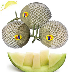 꿀메론
