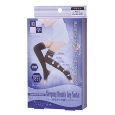 렉스뿌리는스타킹